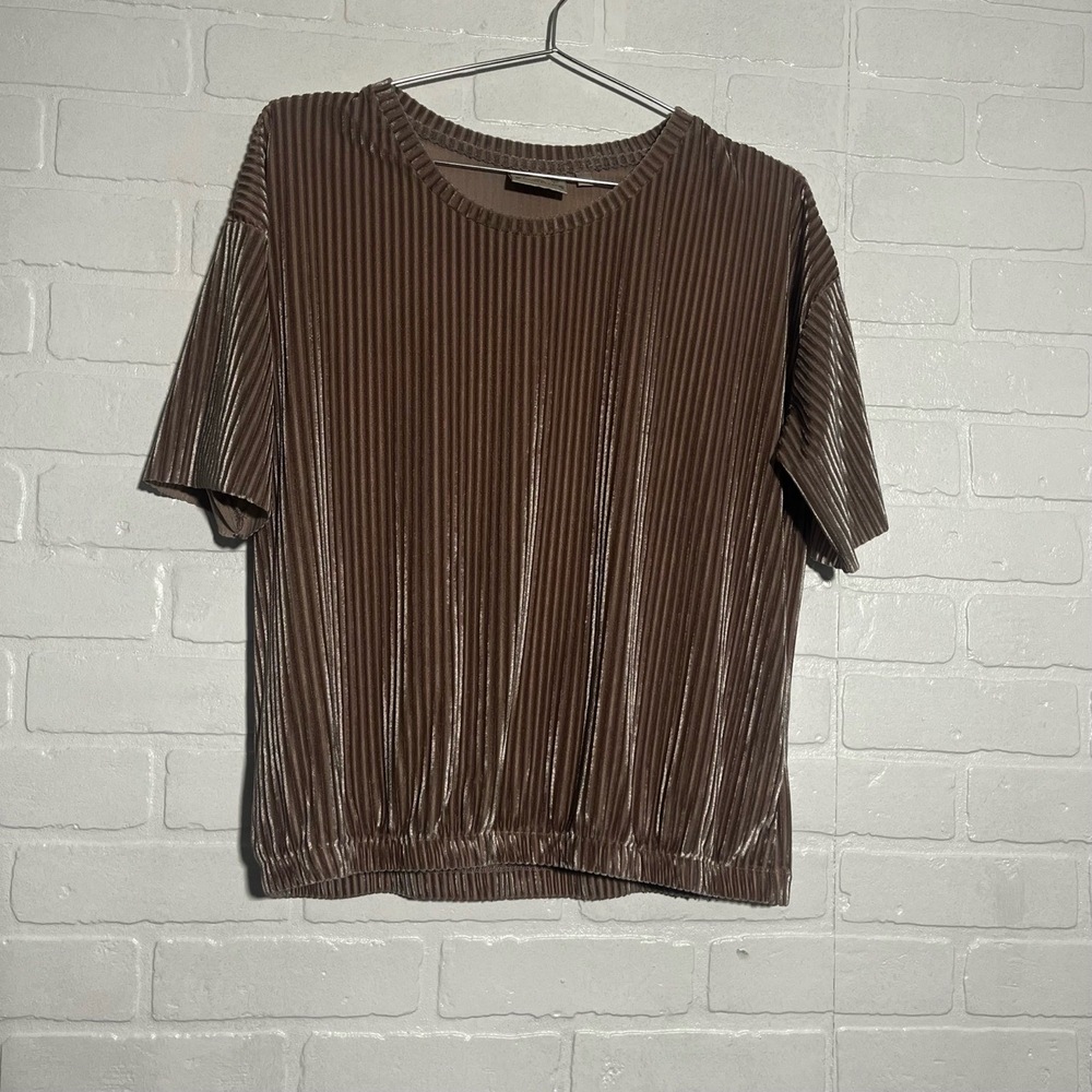 DANTELLE Womens Short Sleeve Top Mauve Pleated Velvet Ribbed Round Neck MED